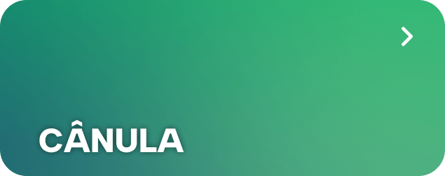 Cânula