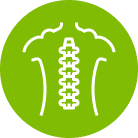 Coluna